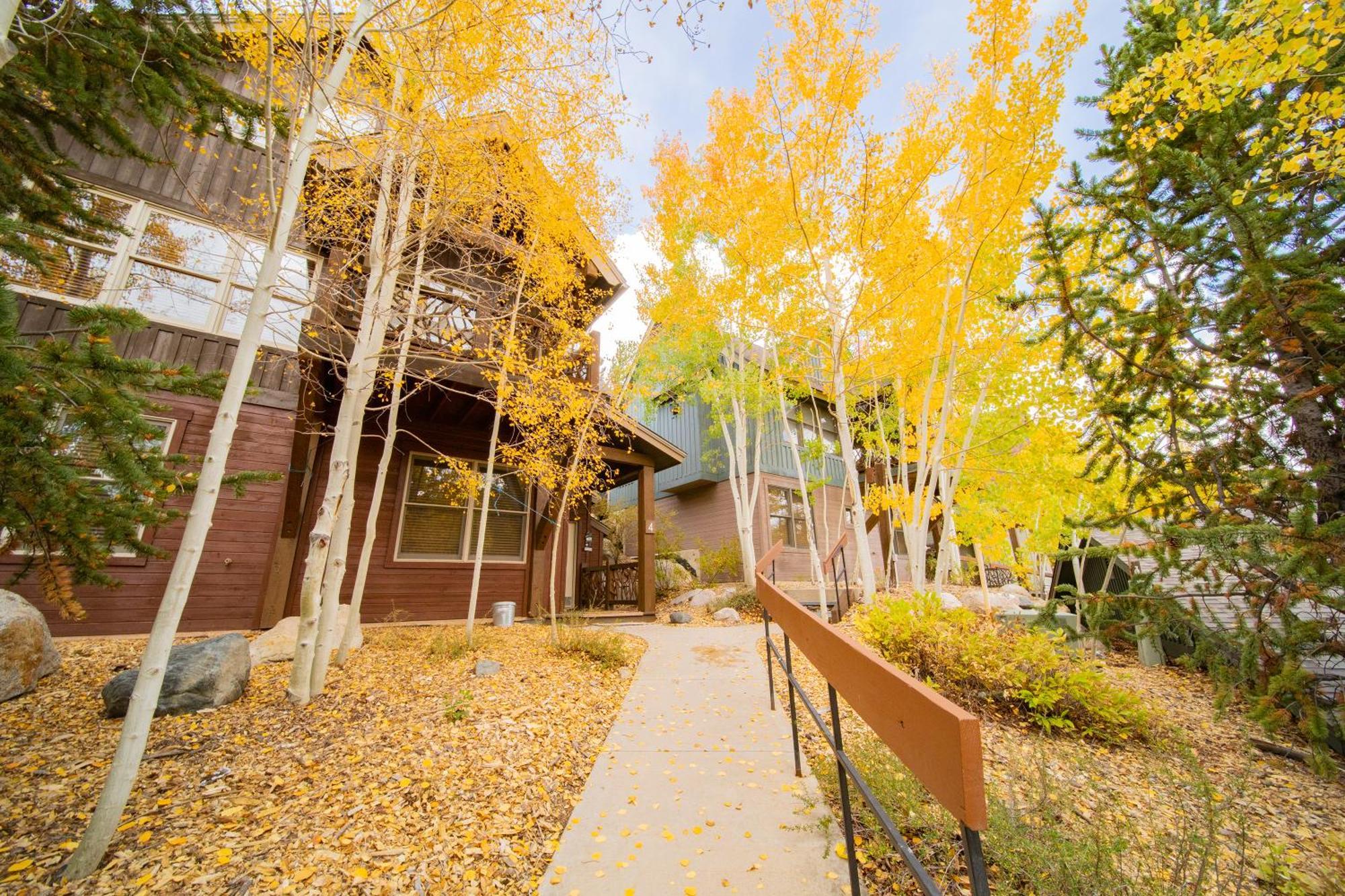 Cabin In The Pines 4 By Summitcove Lodging คีย์สโตน ภายนอก รูปภาพ